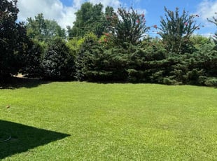 Monique W.'s Lawn Mowing service result