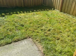 Thomas B.'s Grass Cutting service result