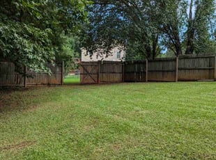 David T.'s Lawn Care service result