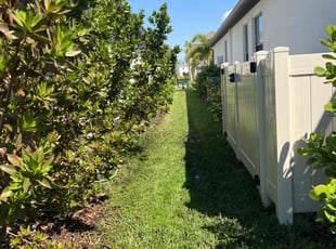 Michelle R.'s Lawn Service service result