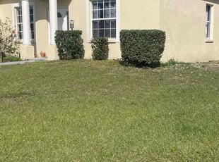 Bush Trimming by Hanif Ibn King for Stephen G. in Winter Haven, FL