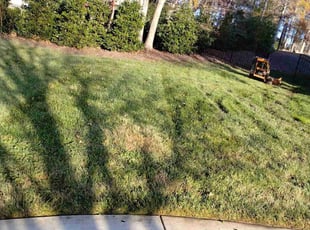 Leaf Removal by Eric Lewis for Sachin Reddy K. in Indian Land, SC