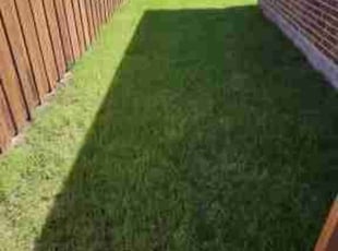 Donna D.'s Lawn Mowing Service service result