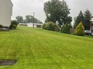 Dave P.'s Lawn Mowing Service service result