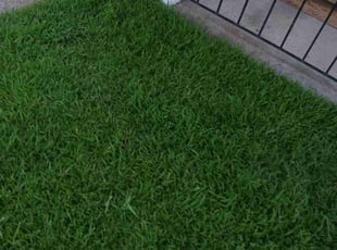 Andrew A.'s Grass Cutting service result