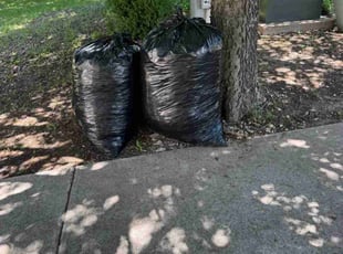 Leaf Removal by Rene Gabriel Ramirez for Reza K. in Cedar Park, TX
