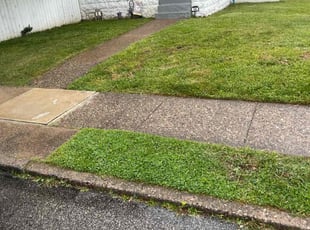 Melvin B.'s Grass Cutting service result