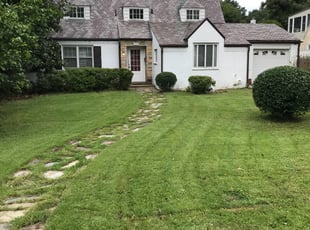 Bush Trimming by Dee Blanchard for Erica P. in 7, MD