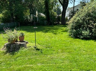 Dan R.'s Lawn Mowing service result