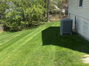 Paul E.'s Lawn Mowing service result