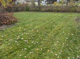 Jesse M.'s Lawn Care service result