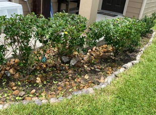Landscaping by Paz Silva for Shawn G. in Houston, TX