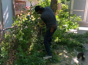 Cleanups by David Rordame for Jacqui B. in Salt Lake City, UT