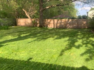 Lynn N.'s Lawn Care service result