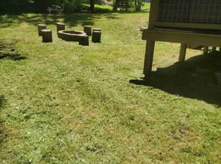Marc W.'s Grass Cutting service result
