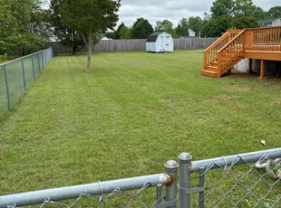 Michelle H.'s Lawn Care service result