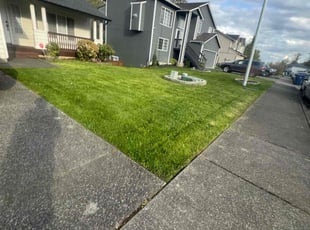 Cameron A.'s Lawn Maintenance service result