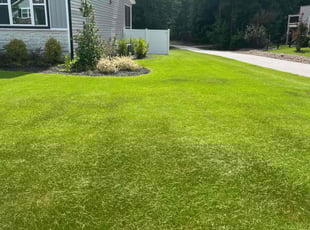 Susan O.'s Lawn Service service result