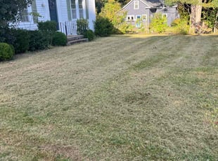 Michael M.'s Lawn Care service result