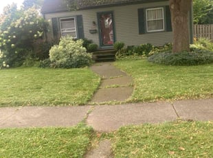 William J.'s Lawn Mowing service result