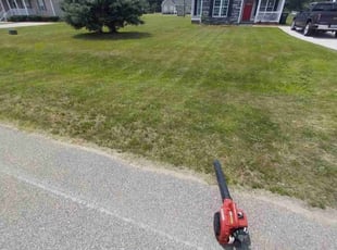 Taylor K.'s Lawn Service service result