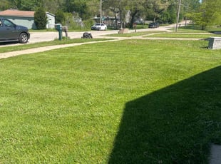 Dana S.'s Lawn Care service result