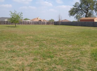 Leaf Removal by Jason Salazar for Jennifer W. in San Antonio, TX