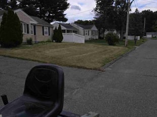 Terrance C.'s Lawn Care service result