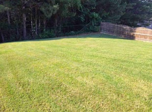 Adam B.'s Yard Cutting service result