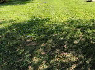 Cleanups by Jose Altamirano Diaz for Samantha S. in Louisville, KY