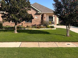 Brycie W.'s Lawn Mowing Service service result