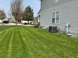 Jesus R.'s Grass Cutting service result