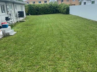 Ofreda W.'s Lawn Mowing service result
