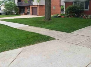 Amy B.'s Lawn Care service result