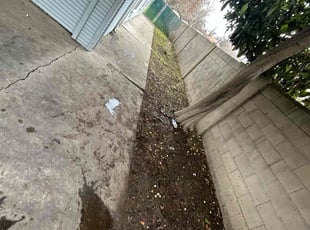 Cleanups by Gabriel Aldrete for athena e. in Sacramento, CA