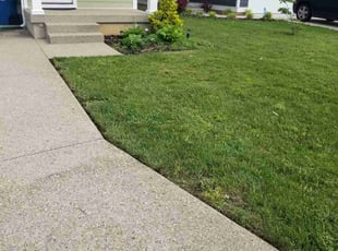Melissa L.'s Lawn Care service result