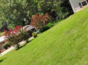 Justin O.'s Lawn Service service result