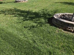 John H.'s Lawn Care service result
