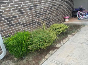 Weeding by Leray Thornton for Rebecca R. in Yukon, OK