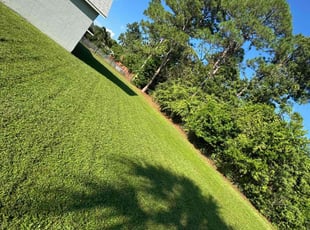 Tia M.'s Lawn Care service result