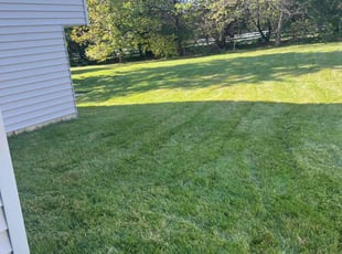 Jaime B.'s Lawn Service service result