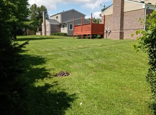 Aaron K.'s Yard Cutting service result