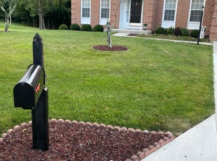 Randi G.'s Lawn Mowing service result