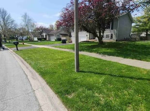 Jacob M.'s Grass Cutting service result