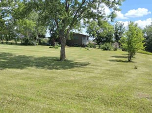 Nicholas S.'s Grass Cutting service result
