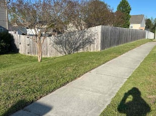 Michael V.'s Lawn Mowing service result