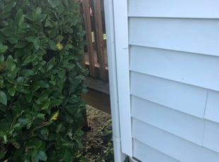 Bush Trimming by Dwayne Parham for Patricia A. in Richmond, VA