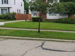 Karyn B.'s Yard Cutting service result