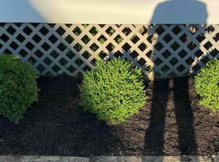 Mulching by Sean Mosley for Luke P. in Cincinnati, OH