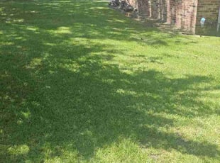 Brad H.'s Lawn Care service result